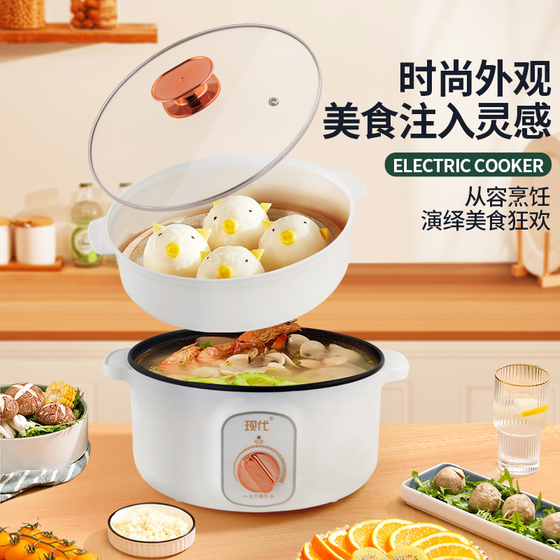 Multifunctional Mini Electric  - Kitchen Appliances Cooking recension och pris