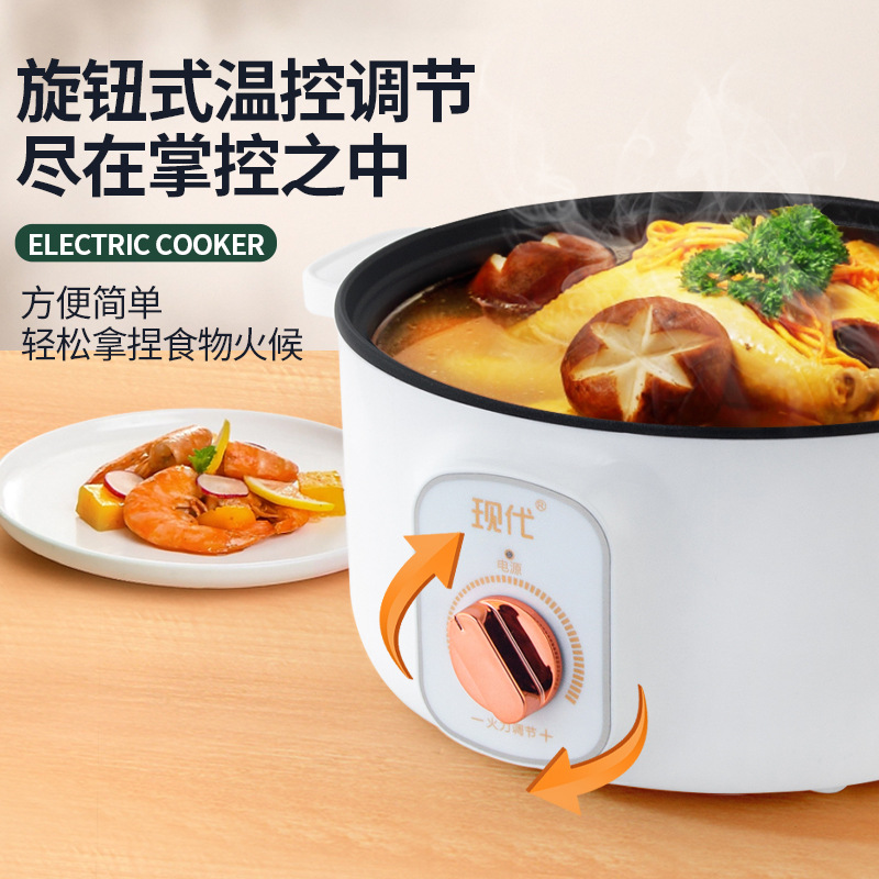 Multifunctional Mini Electric  - Kitchen Appliances Cooking recension och pris
